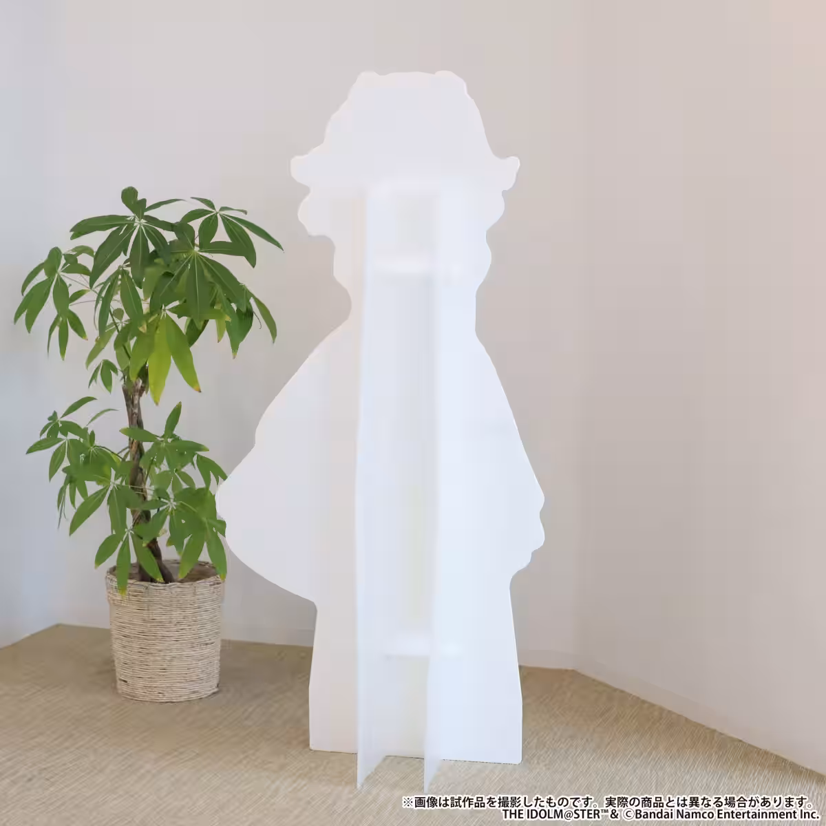 画像14