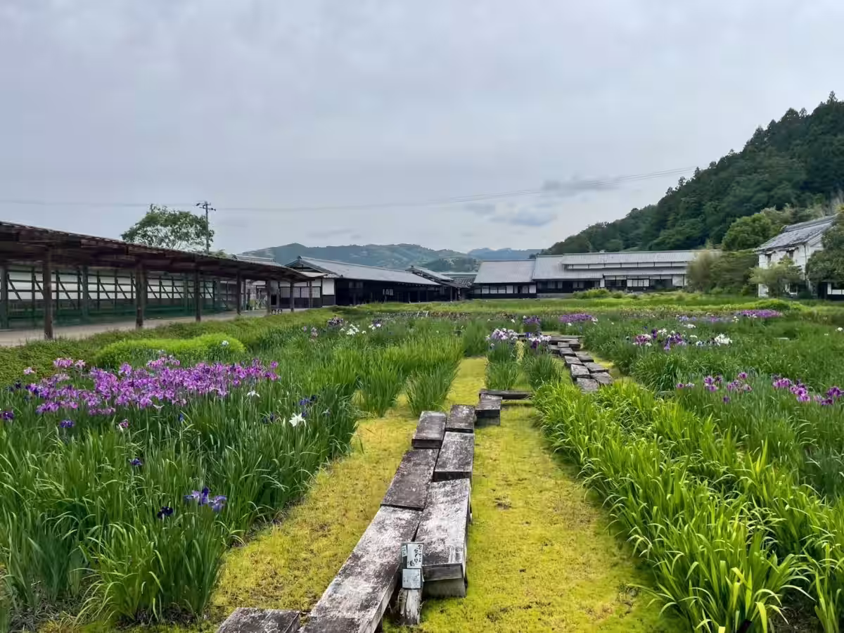画像4