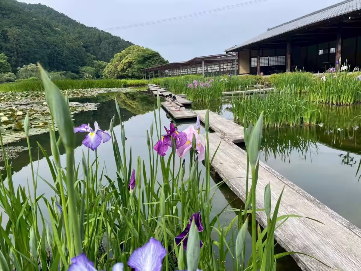画像5