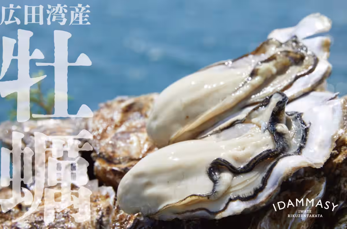 画像15