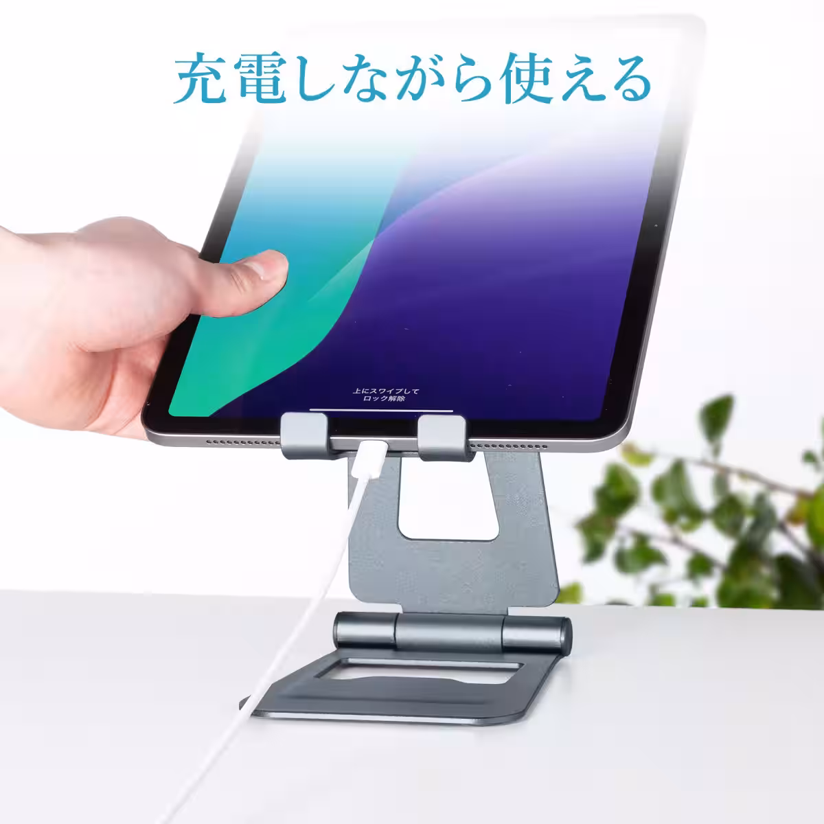 画像15