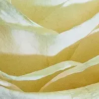 未来の植物標本