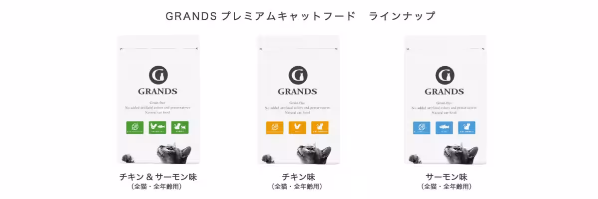 画像11