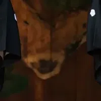 狂言を楽しもう！