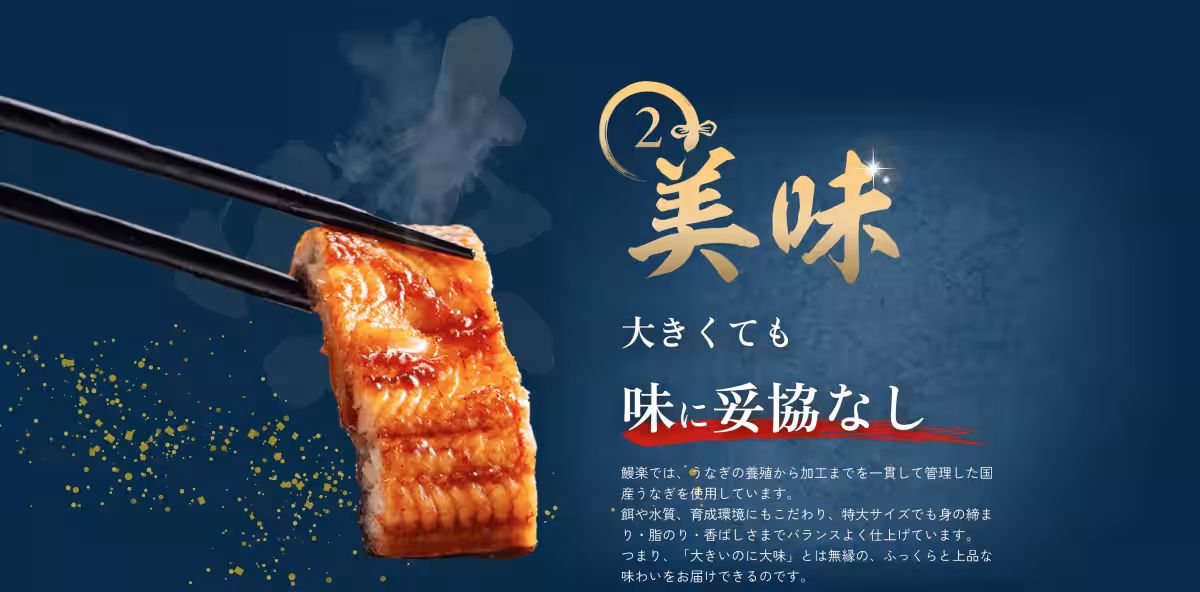 画像15