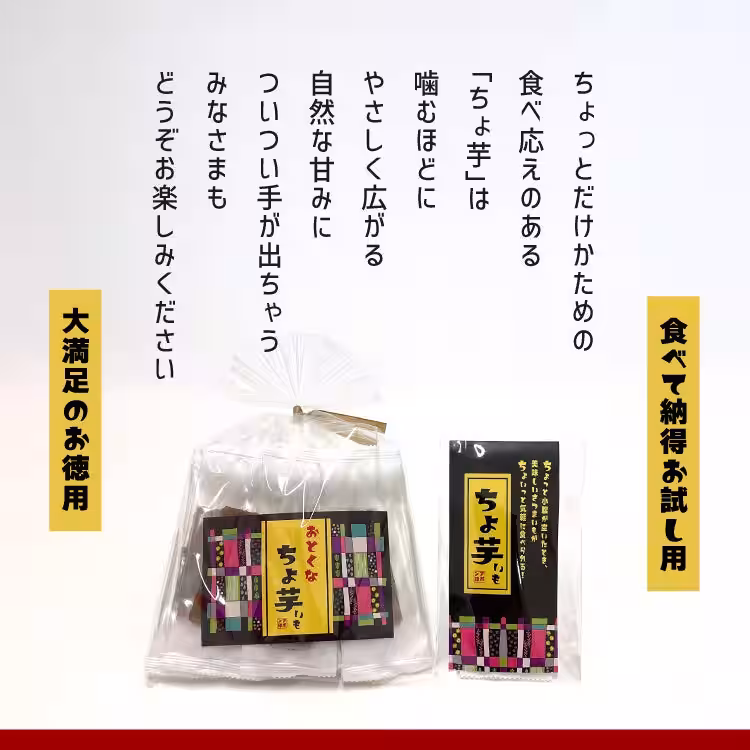 画像15