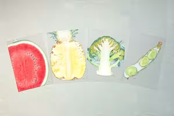 画像8