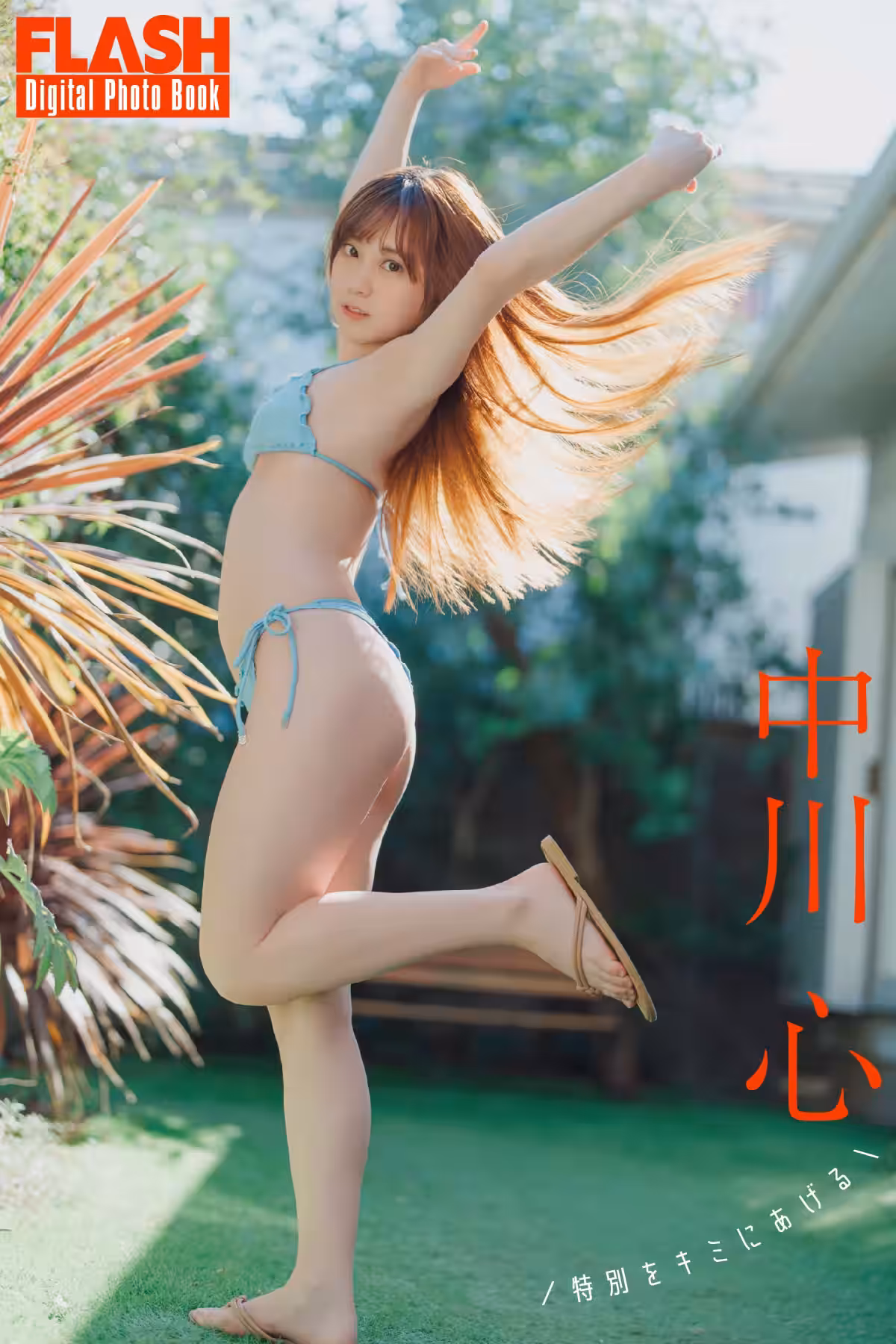画像9