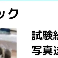 新サービスを支援