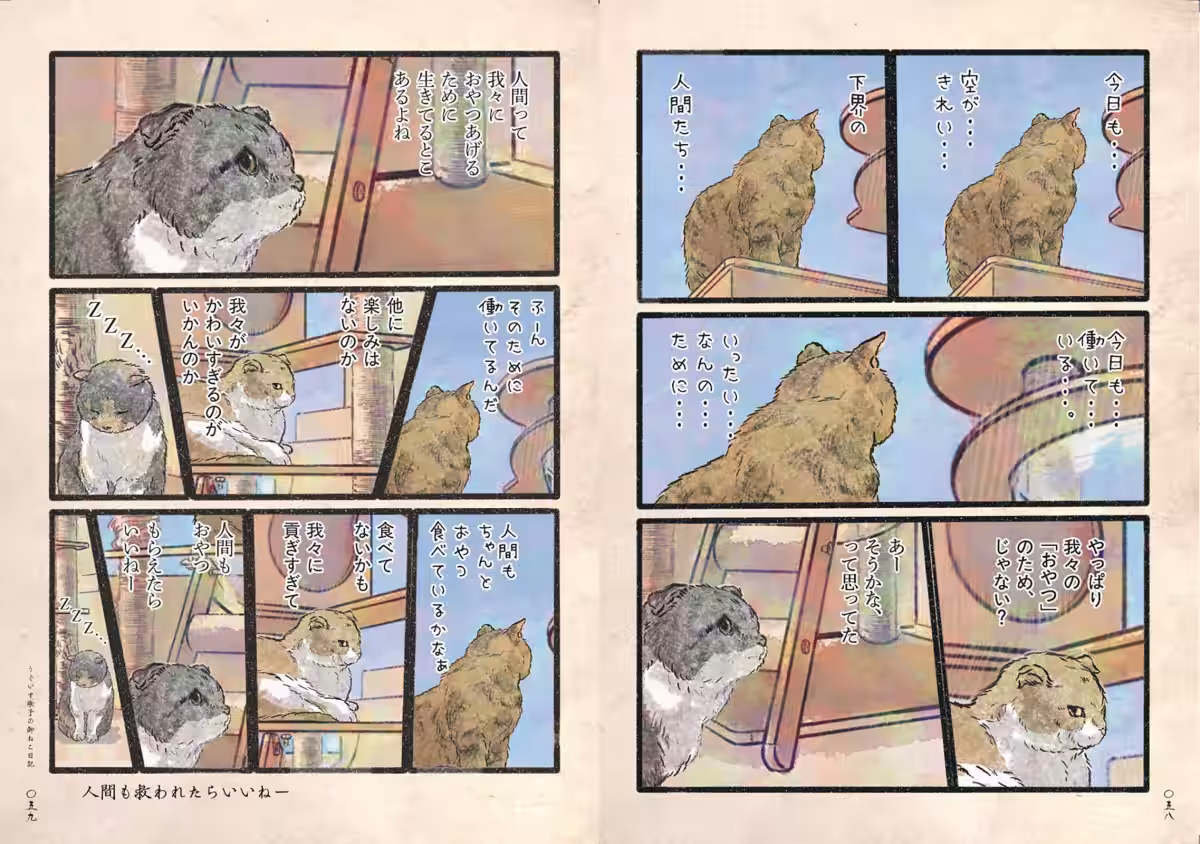 画像7