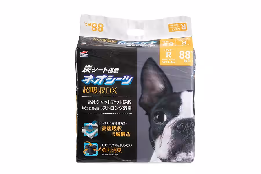 画像7