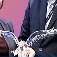 マウザー7年連続受賞