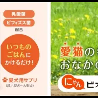 ビオフェルミン出展