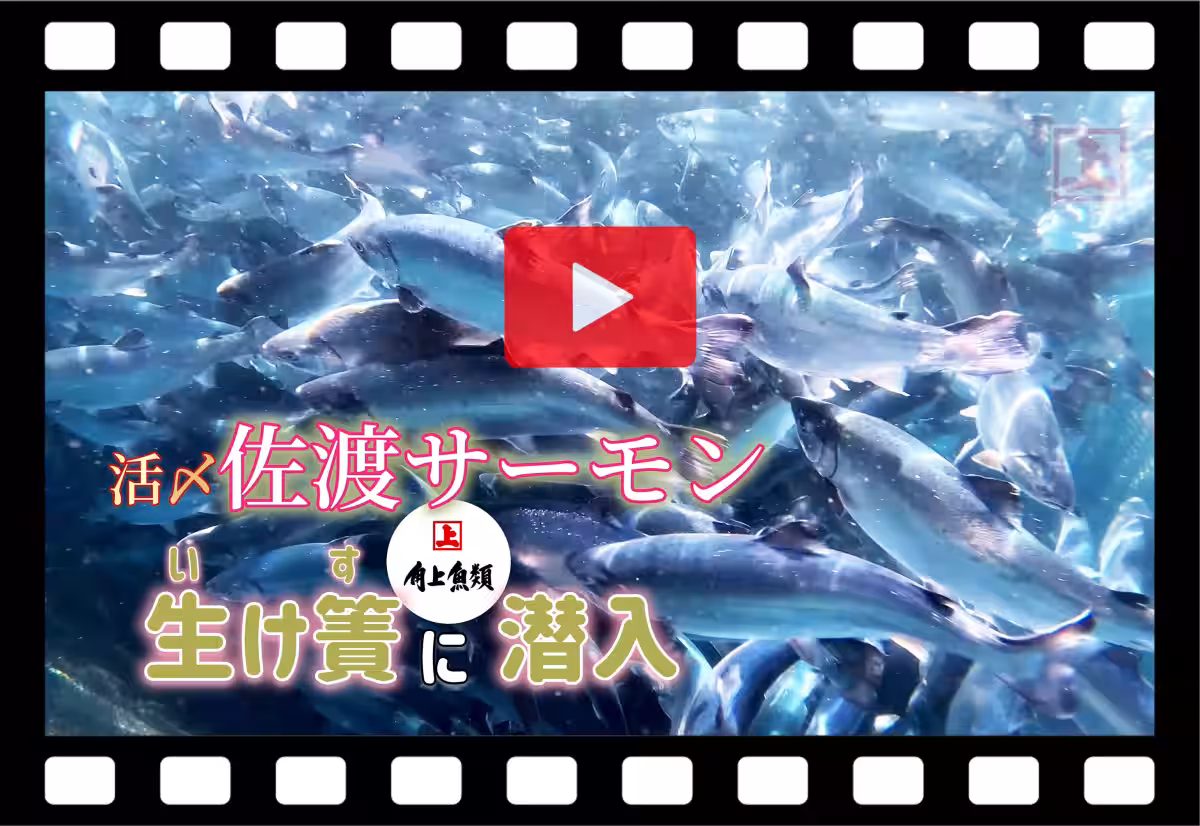 画像14