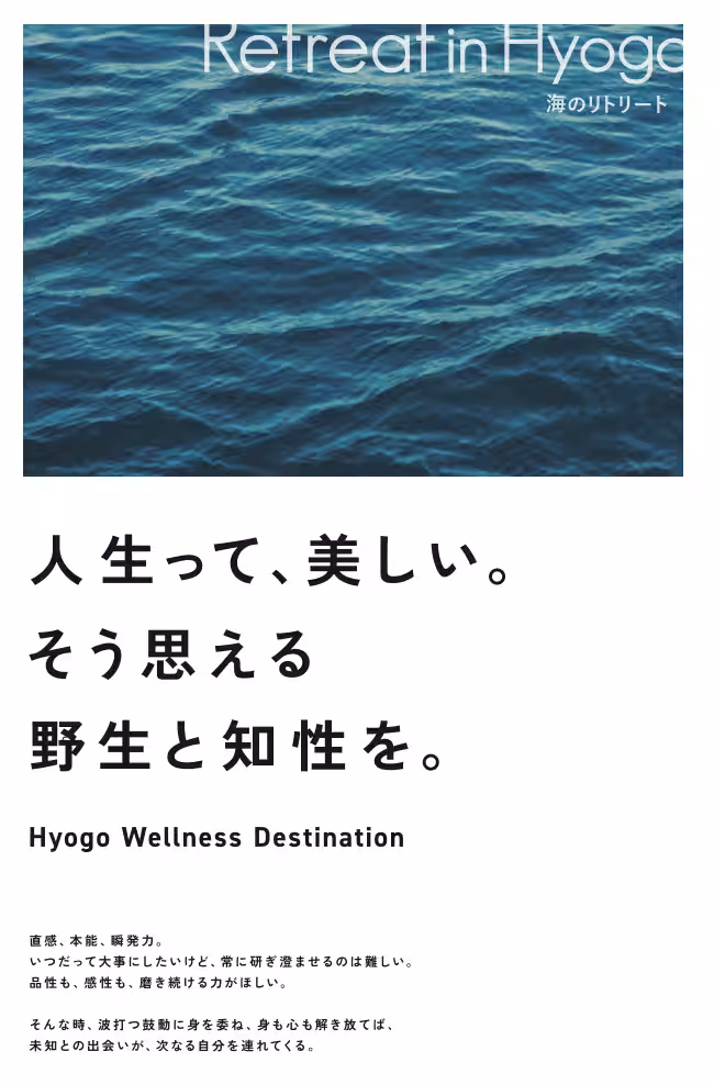 画像14