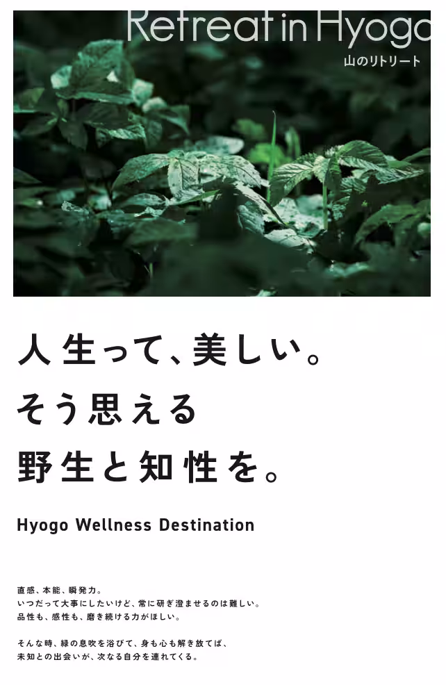 画像13