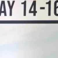 TemuとIACCの提携