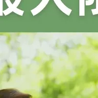 シニア層マーケティング