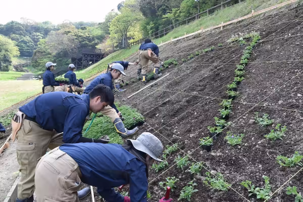 画像14