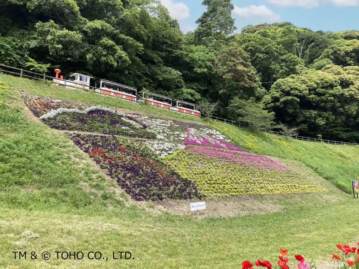 画像5