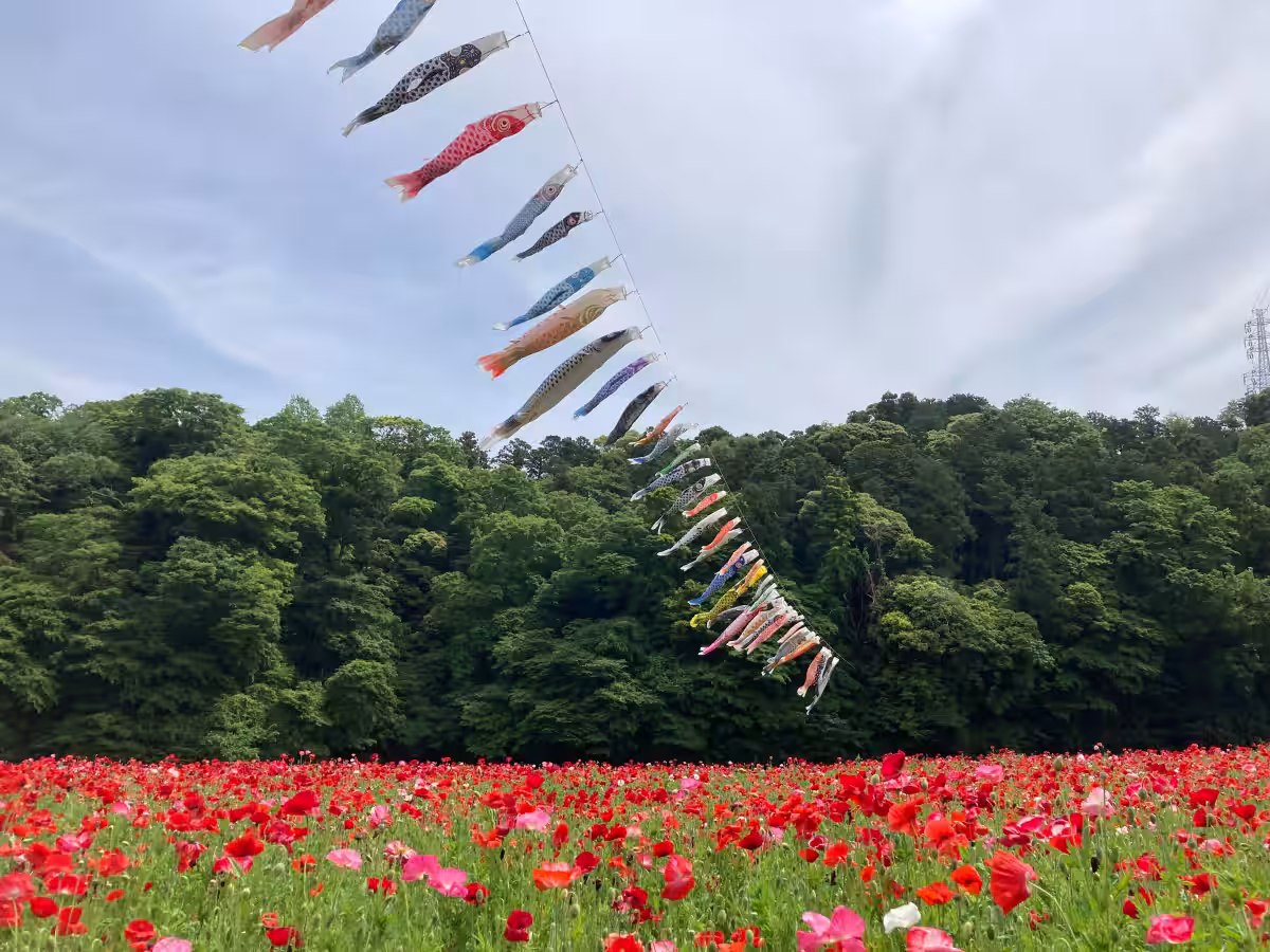 画像16