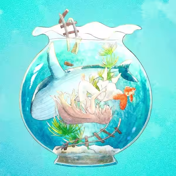 画像14