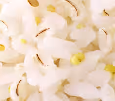 画像12