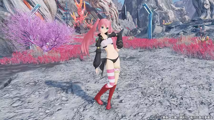 画像7