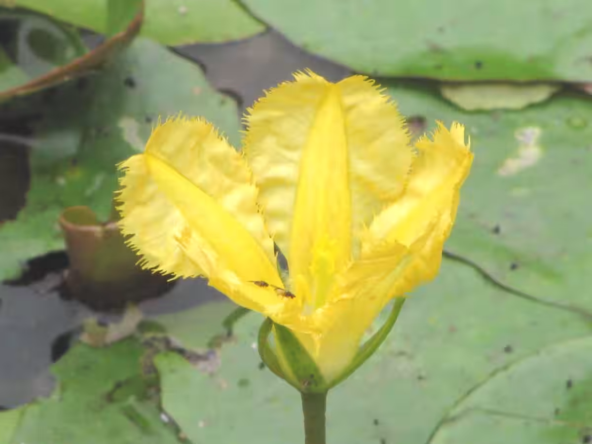 画像19