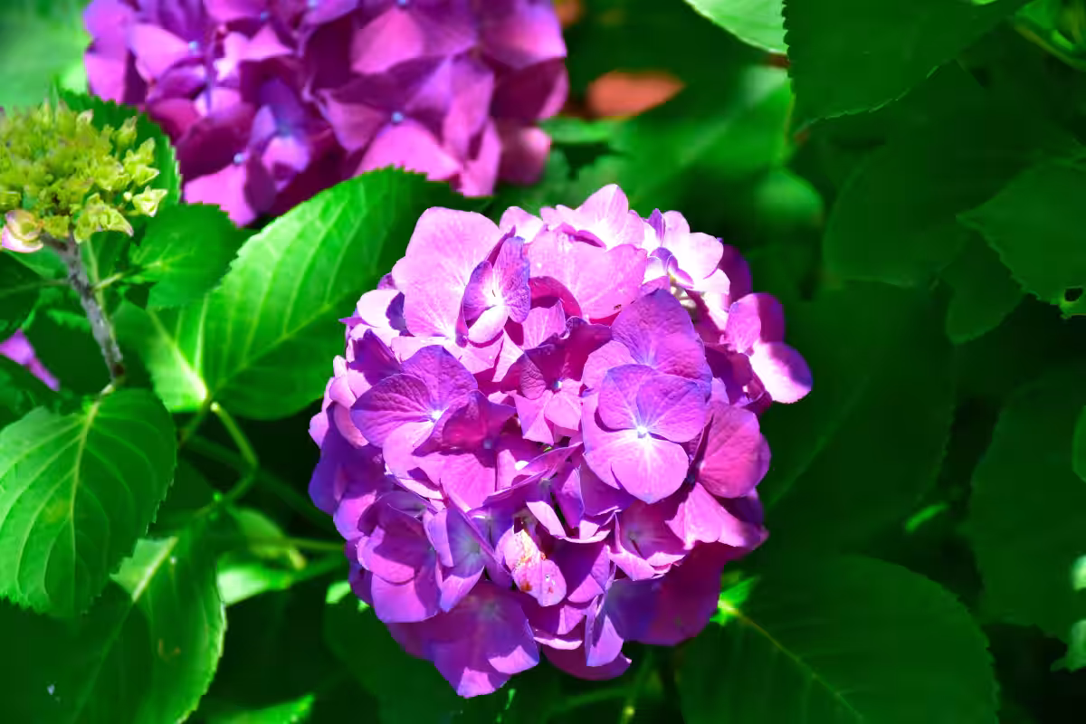 画像12