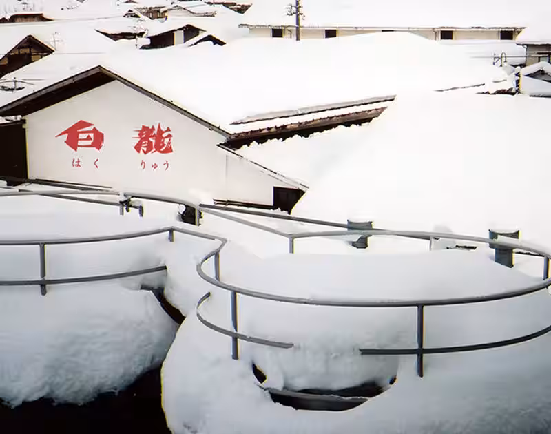 画像9