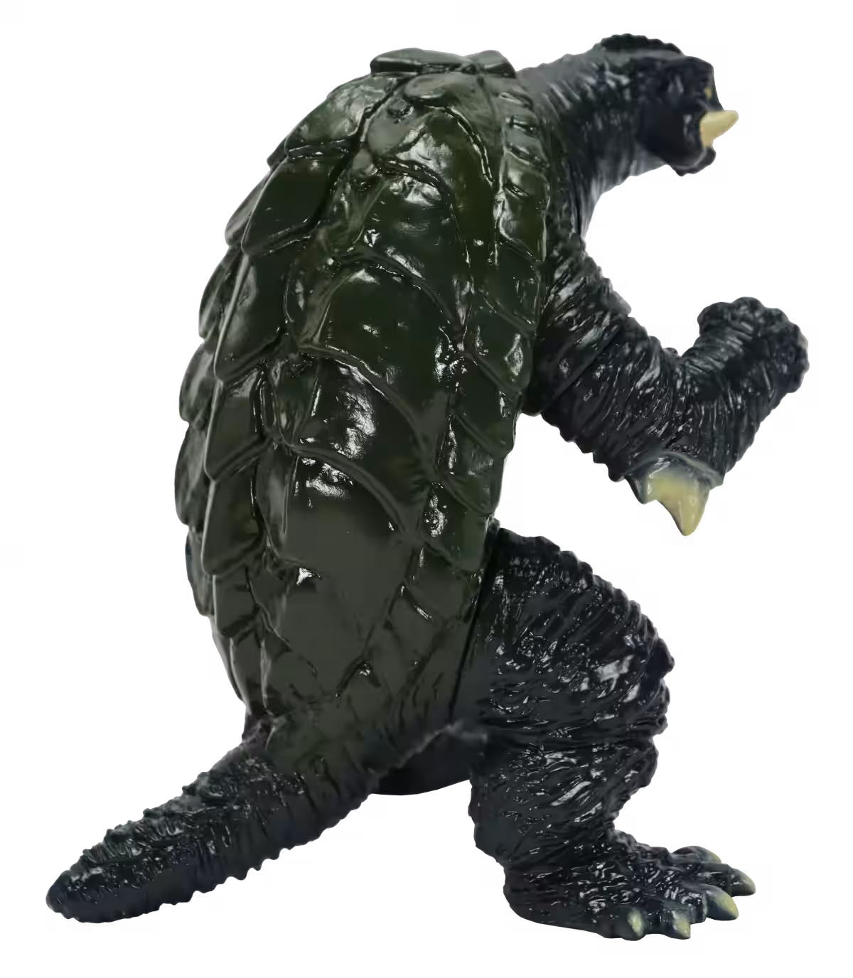 画像20