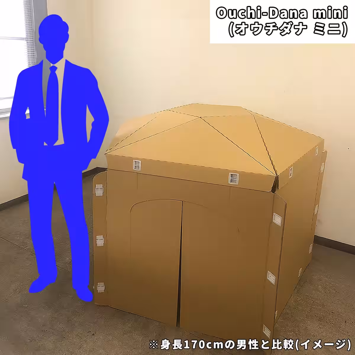 画像7