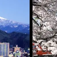 高山市ふるさと納税