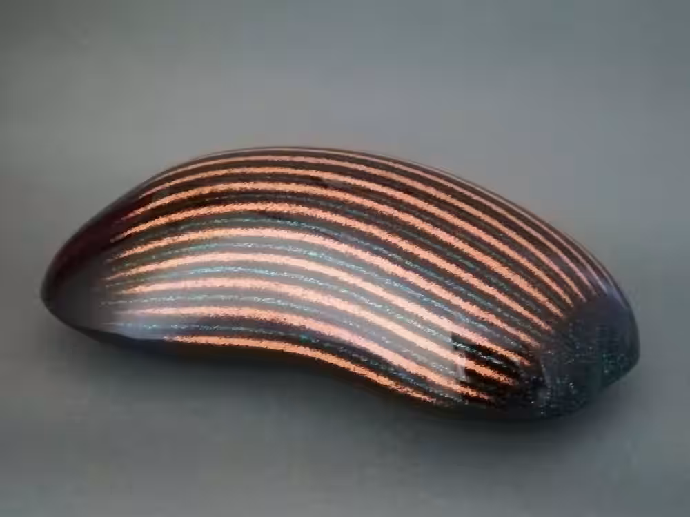 画像12