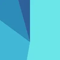 カード申込の実態と対策