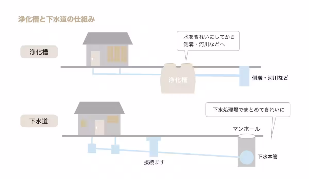 画像13