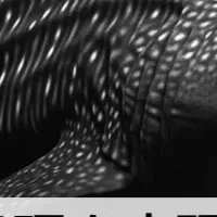 「GenOCR」で業務改革