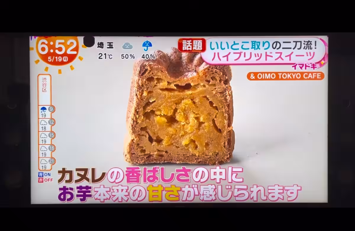 画像7