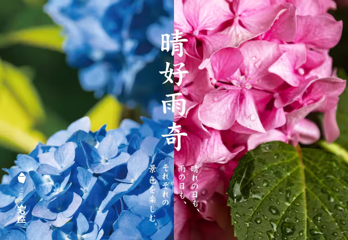 画像19
