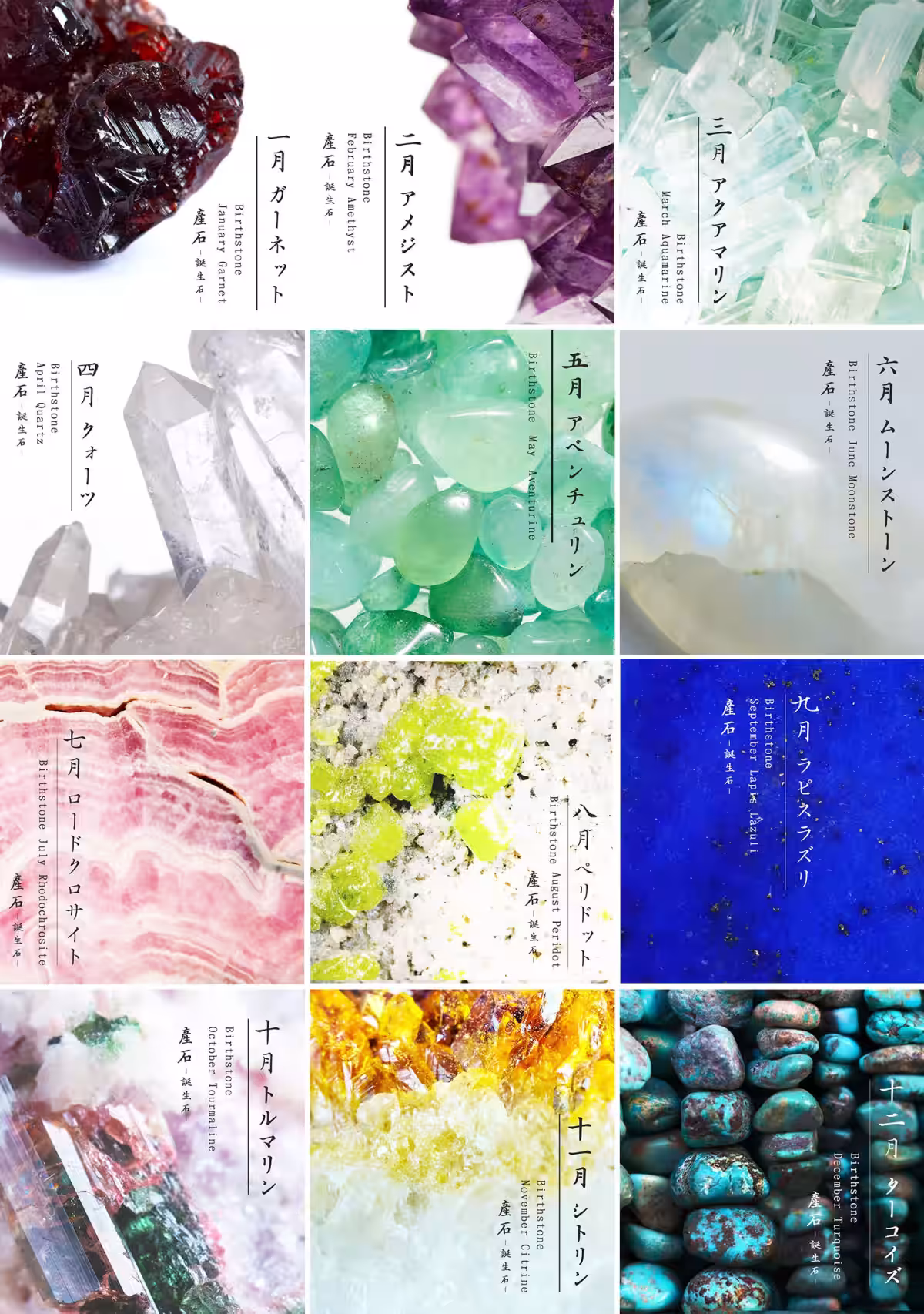 画像16
