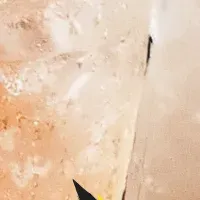 「とりいちず」で特価！