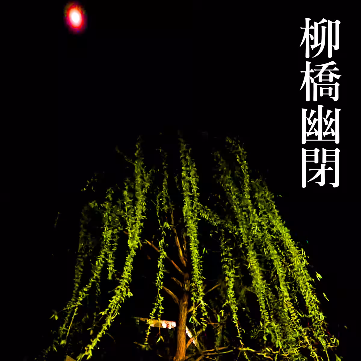 画像14