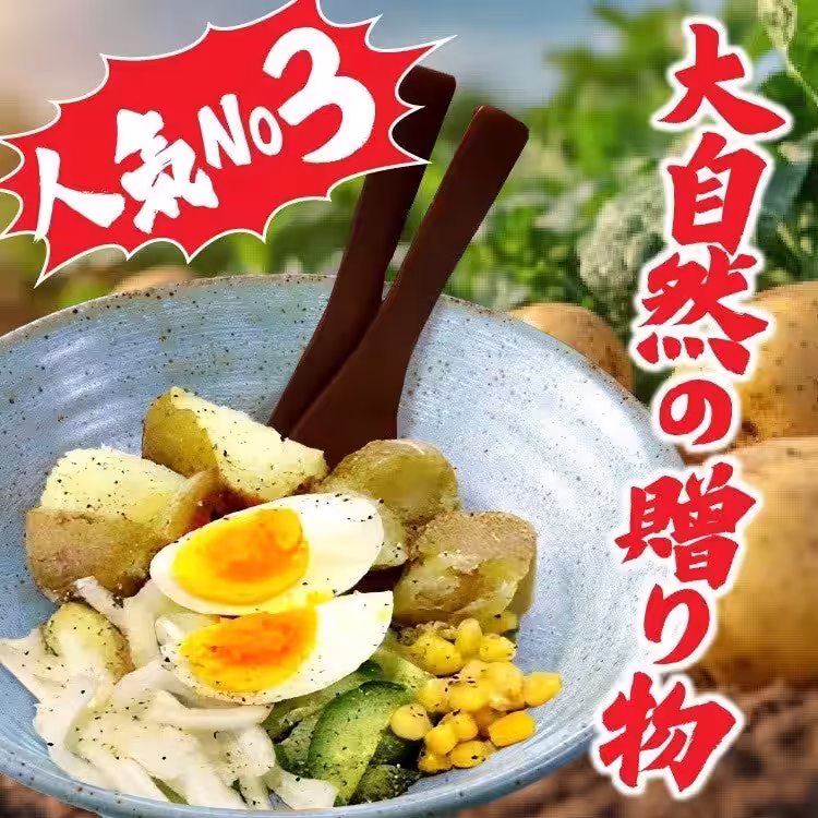 画像14