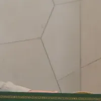 サウジと米国の提携