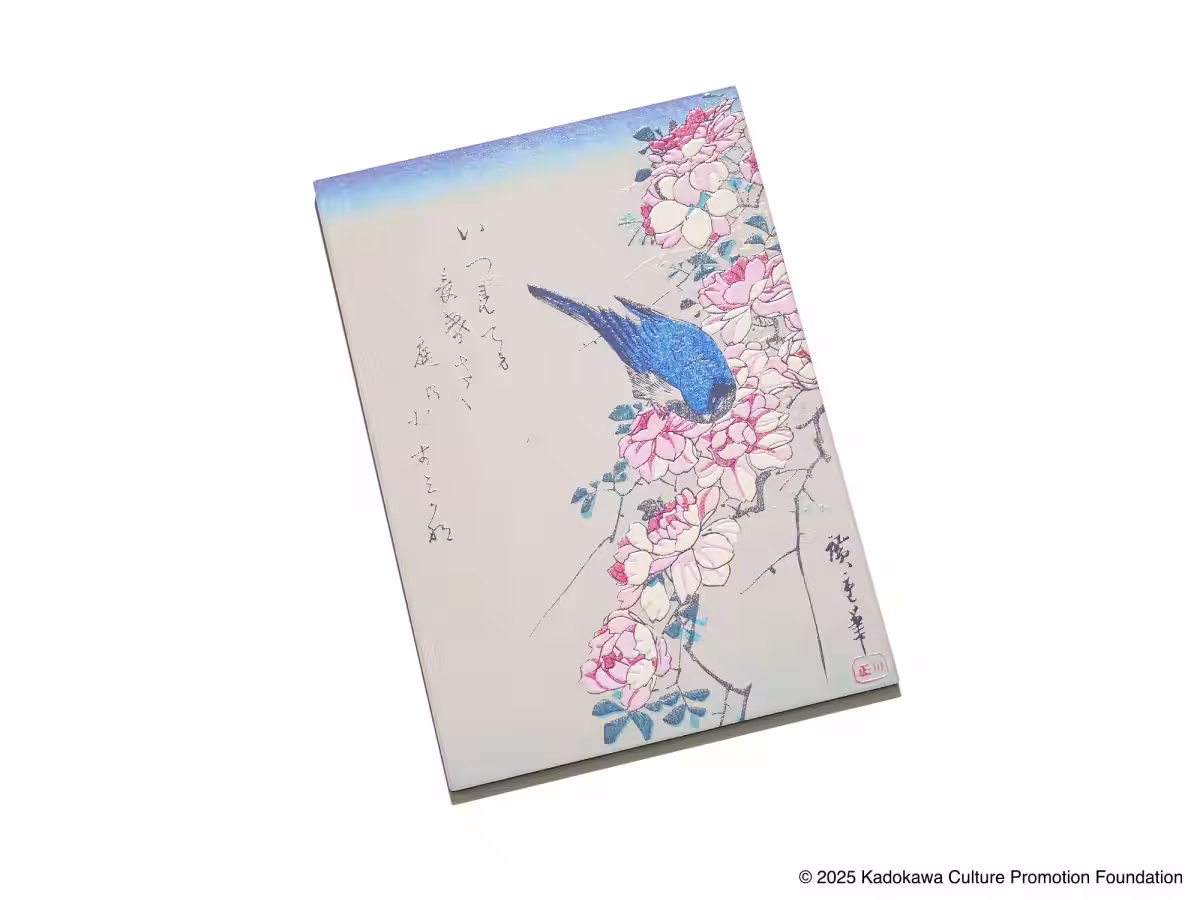 画像5