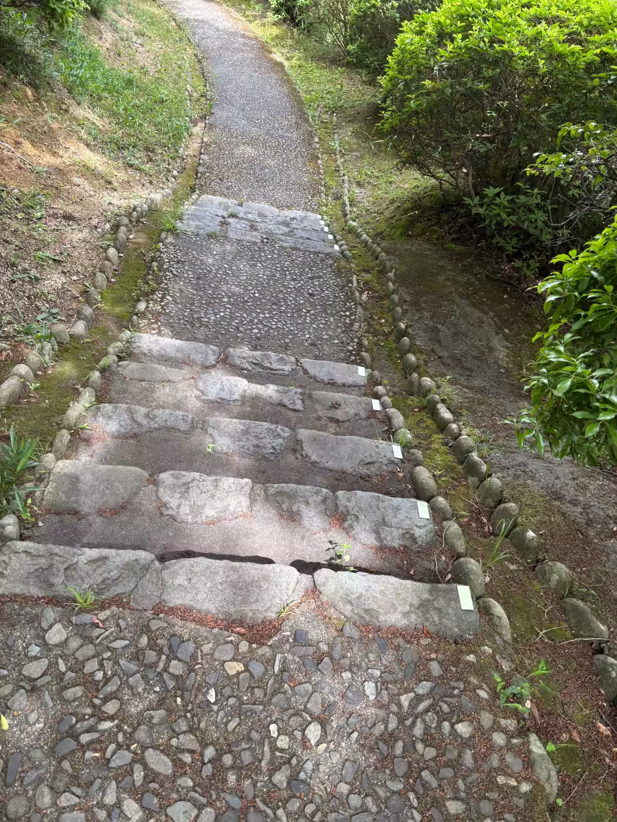 画像14