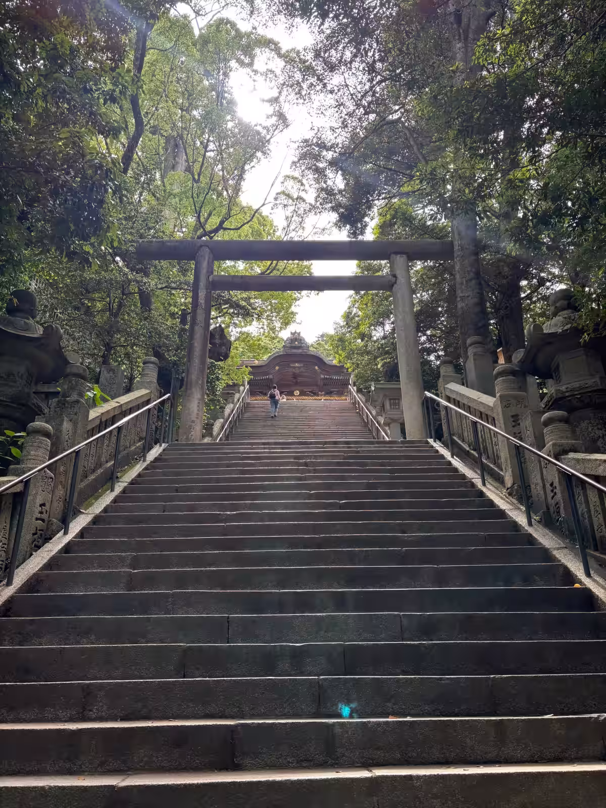 画像19