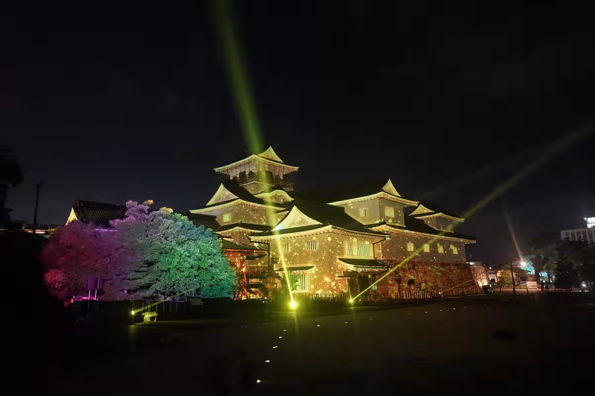 画像7
