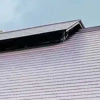 ガイアリゾートの快挙